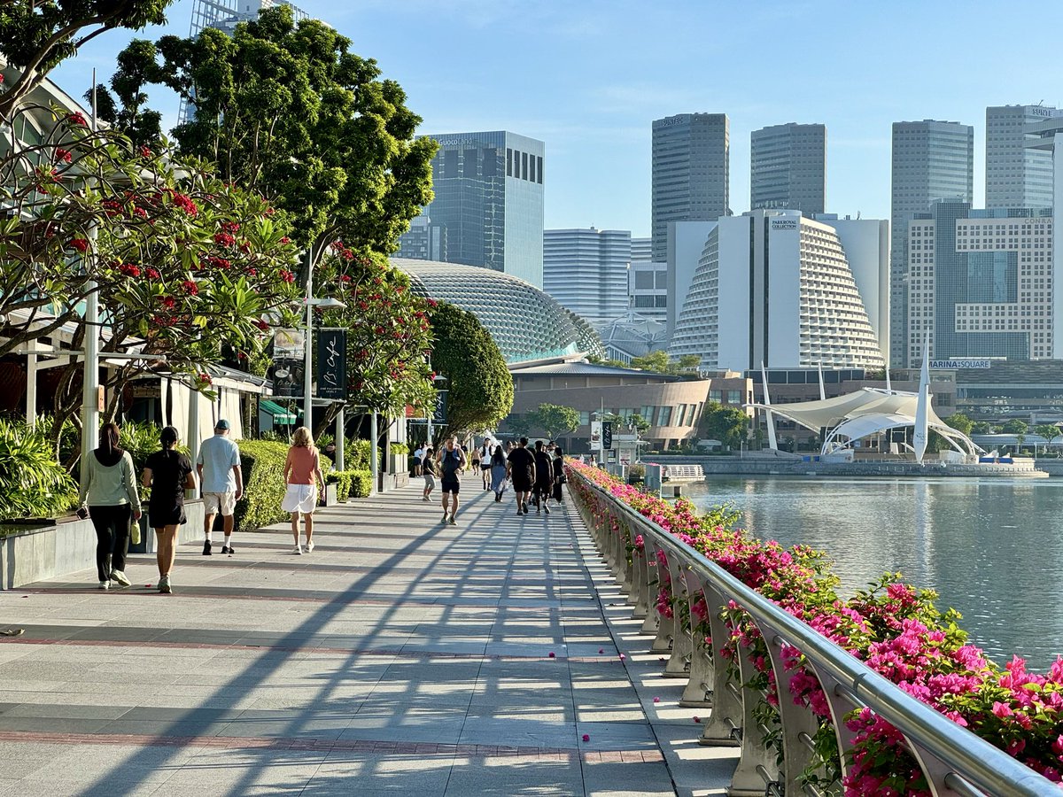 pusuke_sg's tweet image. 今日も元気に朝ラン

#singapore #running #シンガポール #ランニング