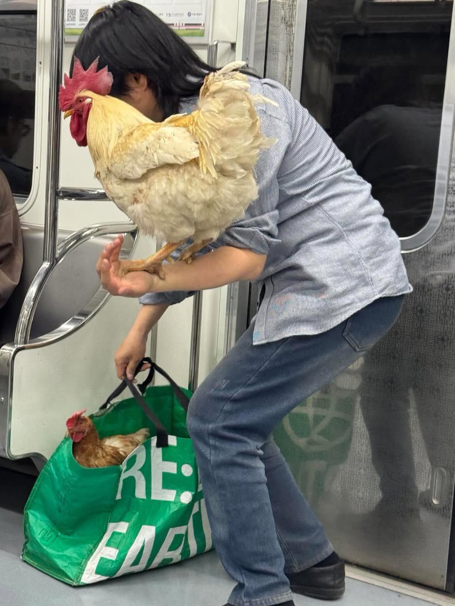 청소부/CLEANER tweet media