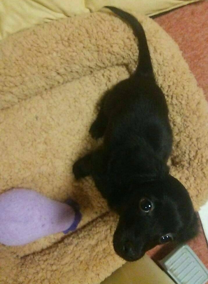 南　央美(OMI MINAMI) tweet media