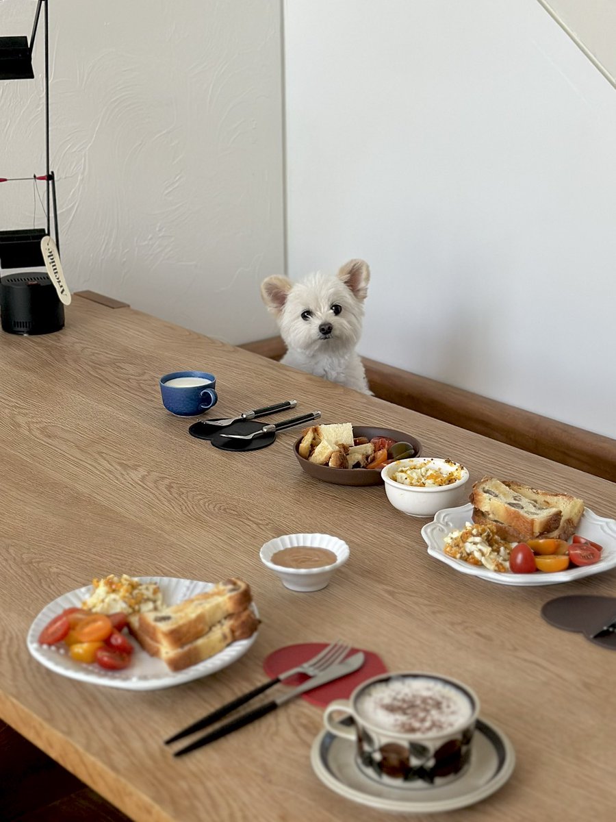 겸돌이 tweet media