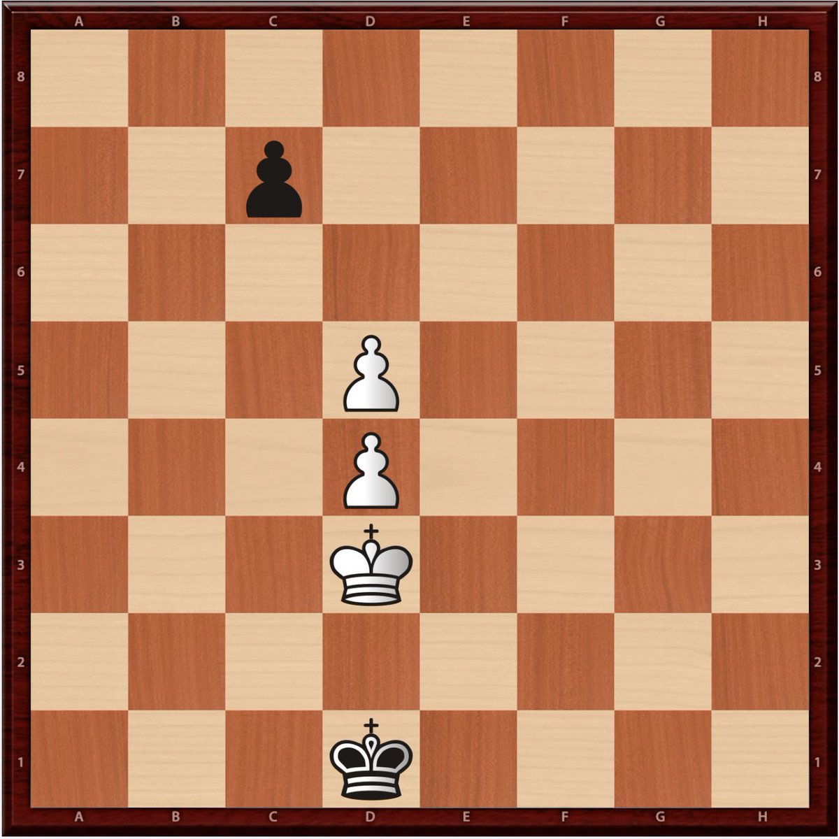 Susan Polgar tweet media