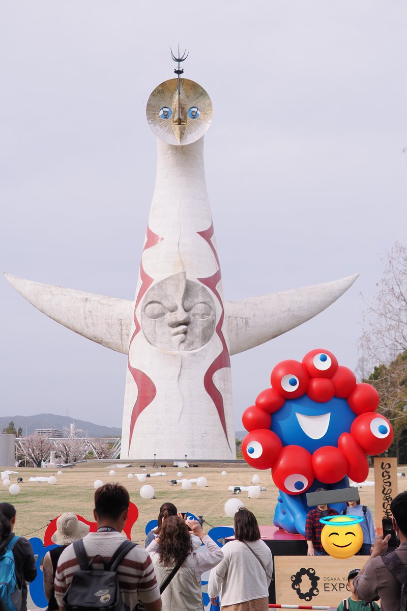 はまち!🐟写メ日記カメラマン tweet media