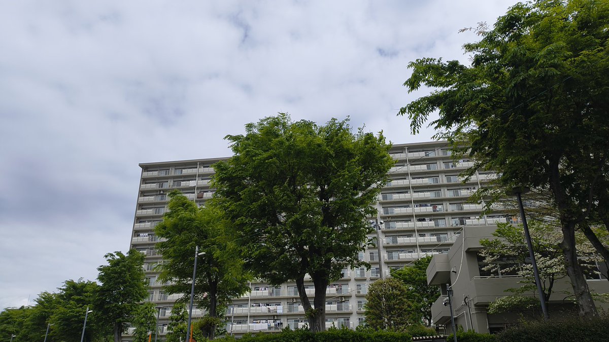 うっちー☆～ tweet media