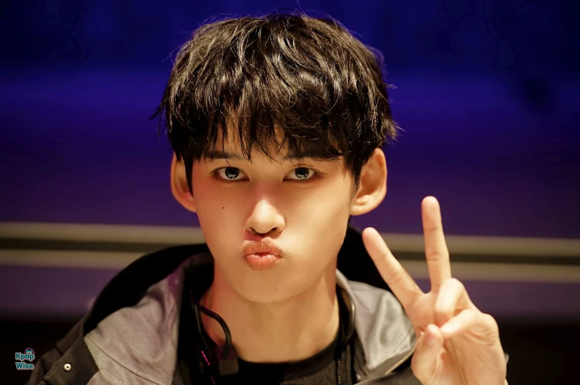 KpopWise tweet media