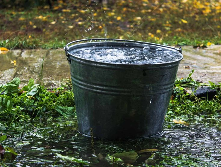 forallcurious's tweet photo. 🚨: In 2012, Gary Harrington, a 64-year-old man from Eagle Point, Oregon, was sentenced to 30 days in jail and fined $1,500 for illegally collecting rainwater on his 172-acre property. https://t.co/HgLoXiTZcL