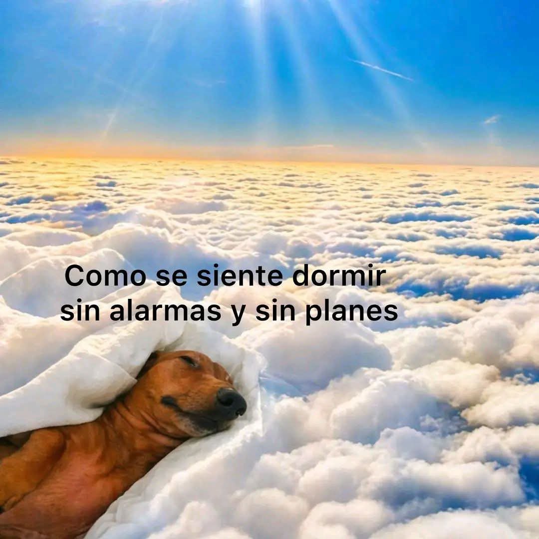 ramè (@rameclothing) on Twitter photo 