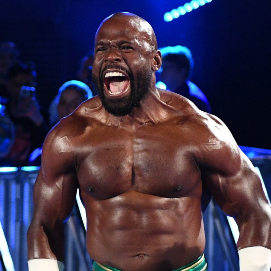 LuigiWrestling tweet media