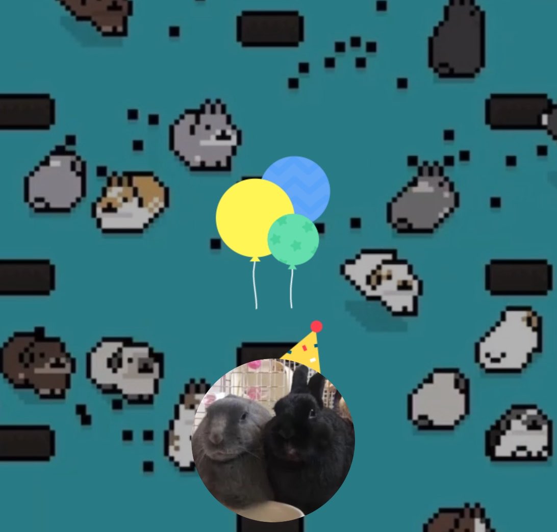 鞠門🌈 tweet media