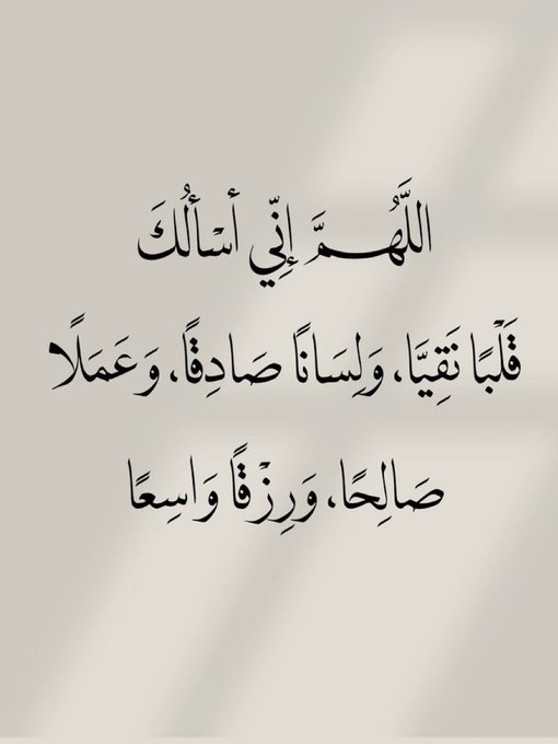 اسد الصحراء tweet media