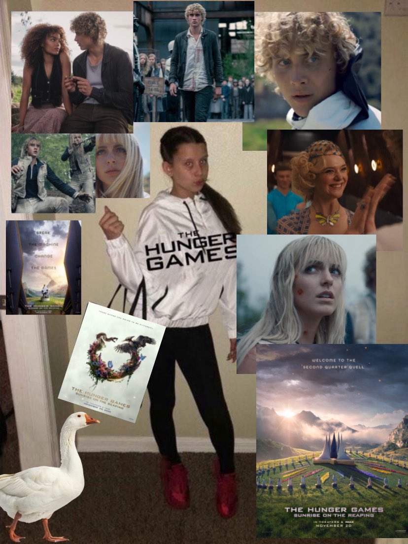 jurídico jogos vorazes tweet media