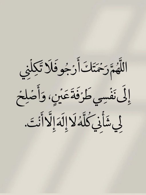 اسد الصحراء tweet media