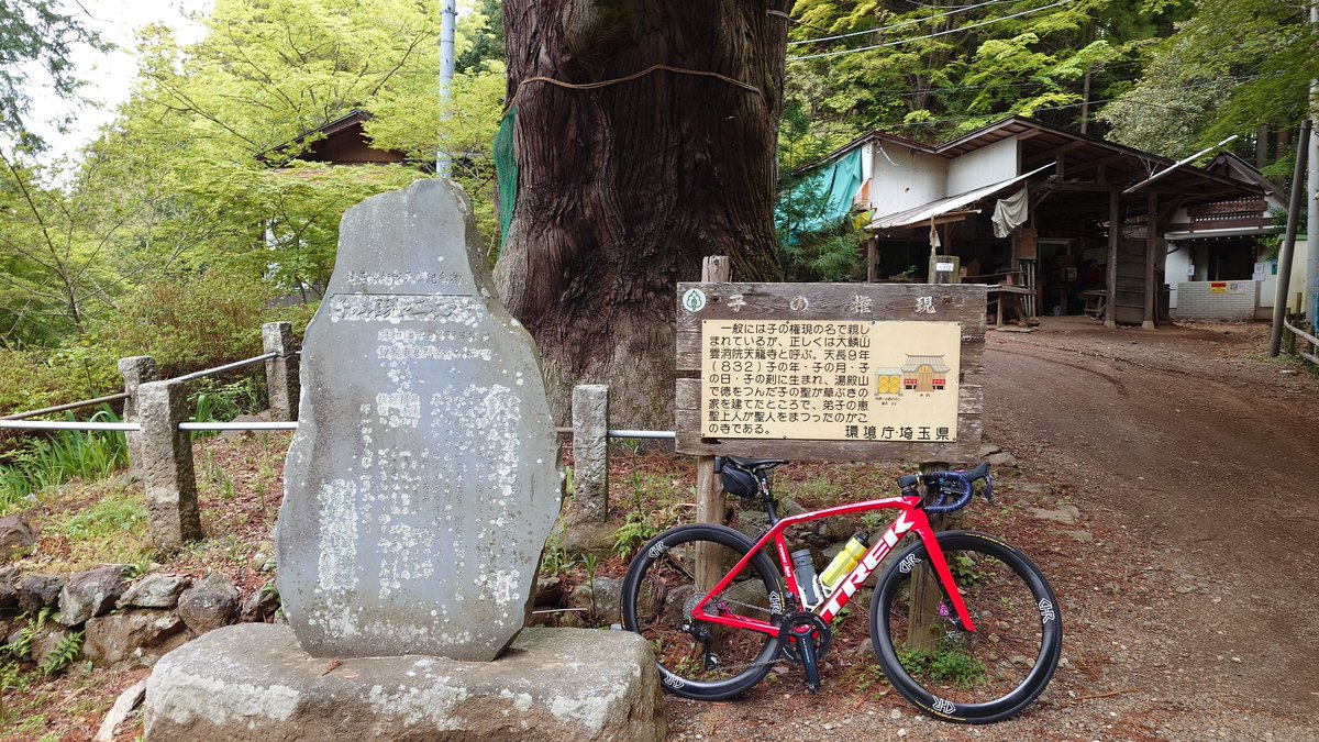 やっさん… tweet media