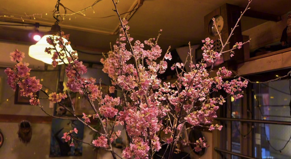 RollSloth ／NannyME／なないろ CEO MeGoアンバサダー／下北沢地域事業 tweet media