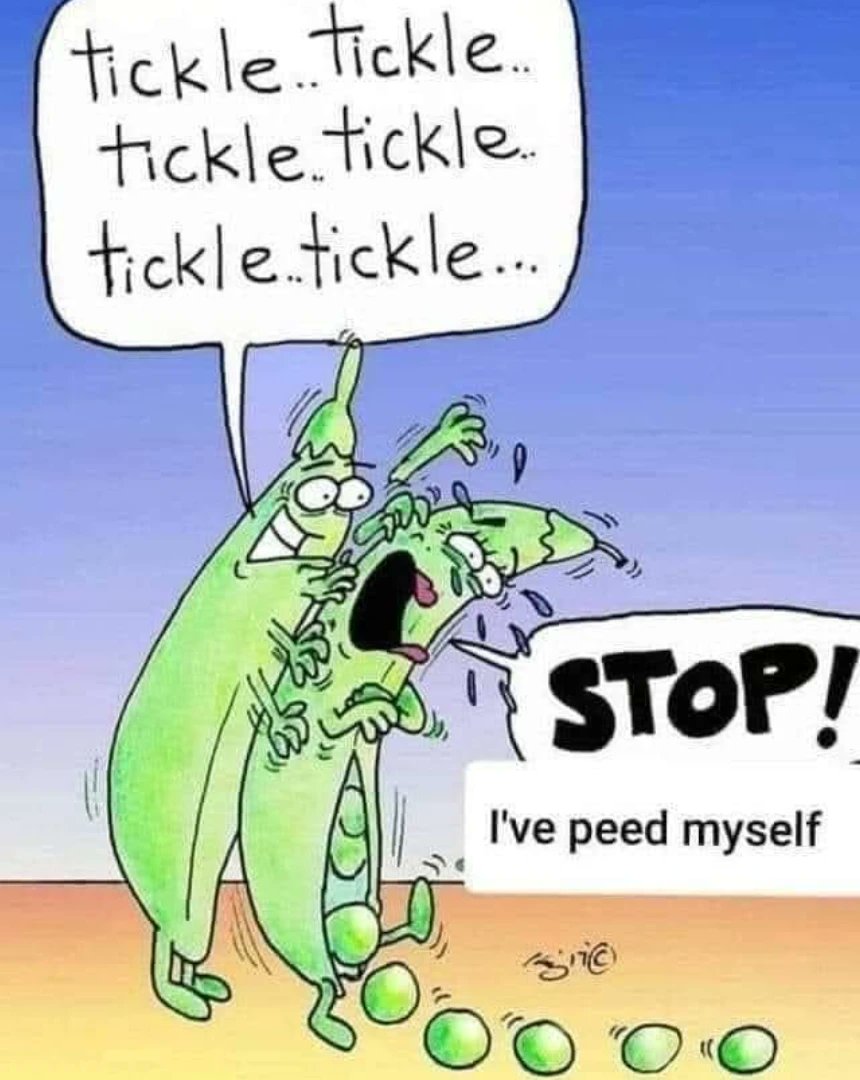 LAnDo NIFFIRG™️🇨🇦 tweet media