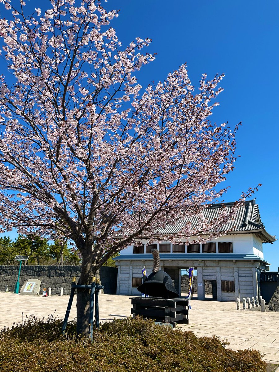 伊達市観光物産館 tweet media