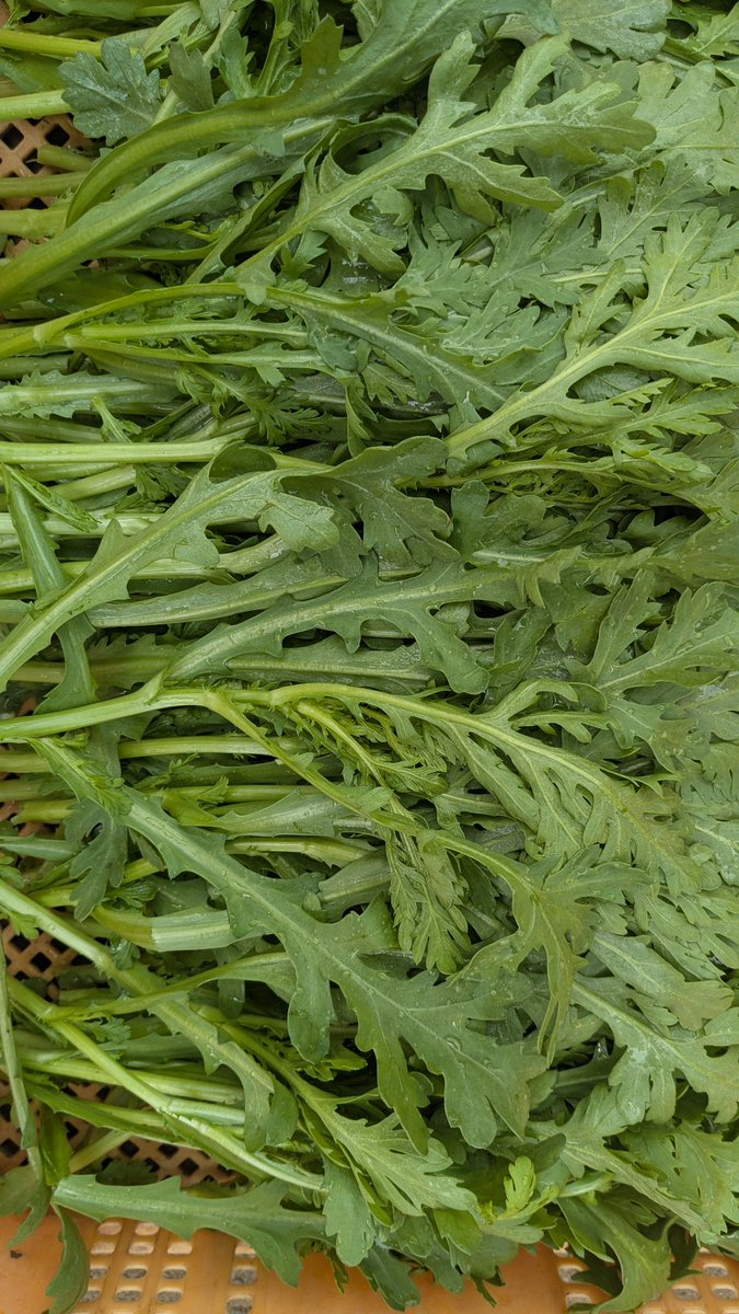 調布ベジトラスト（Farmer’s shop） tweet media