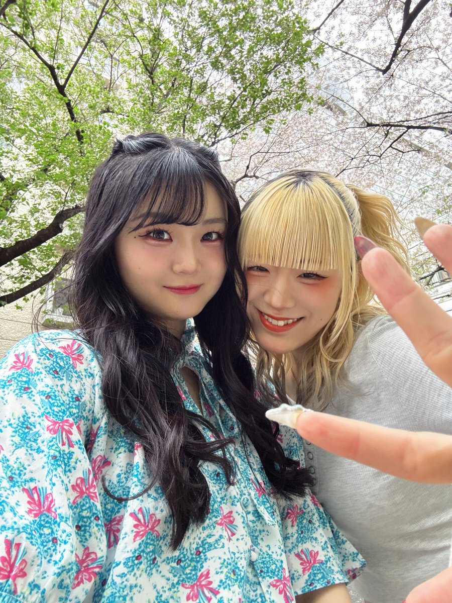 秋月彗🐈‍⬛✨️ 5/17 動員重要ライブ🚨 tweet media