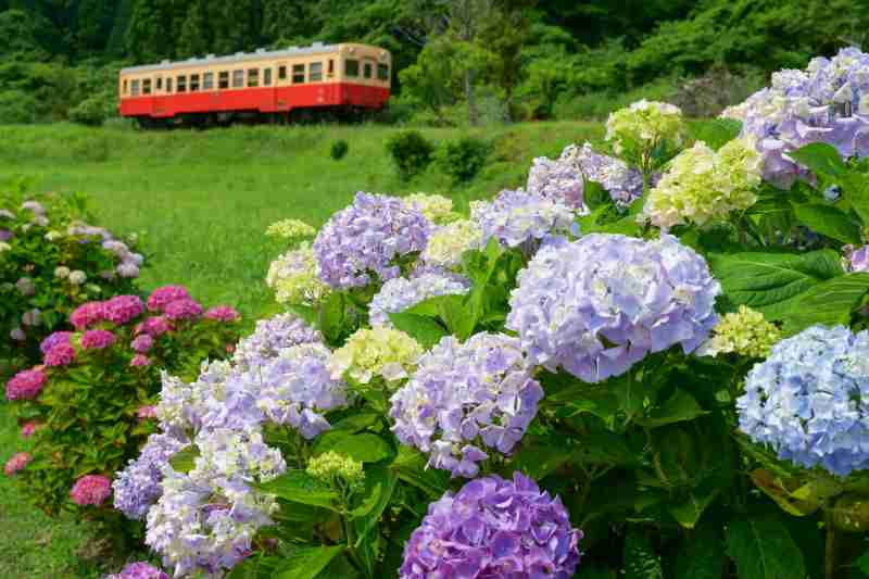 ロー鉄★ニッシー tweet media