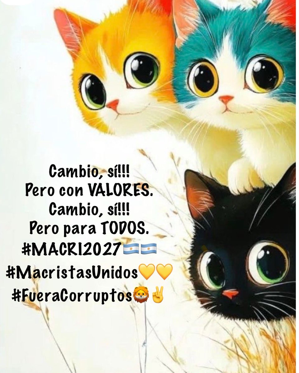 LilianaRR🇦🇷 tweet media