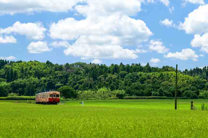 ロー鉄★ニッシー tweet media