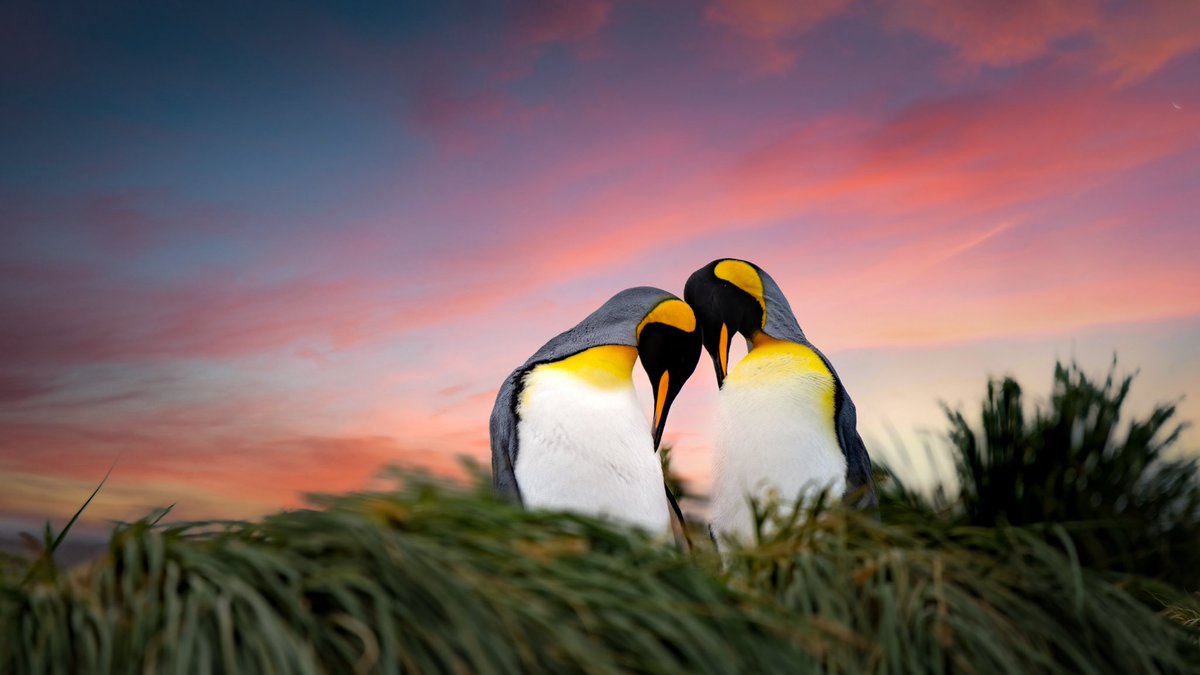 Rachel Suzanne Tien Wood tweet media