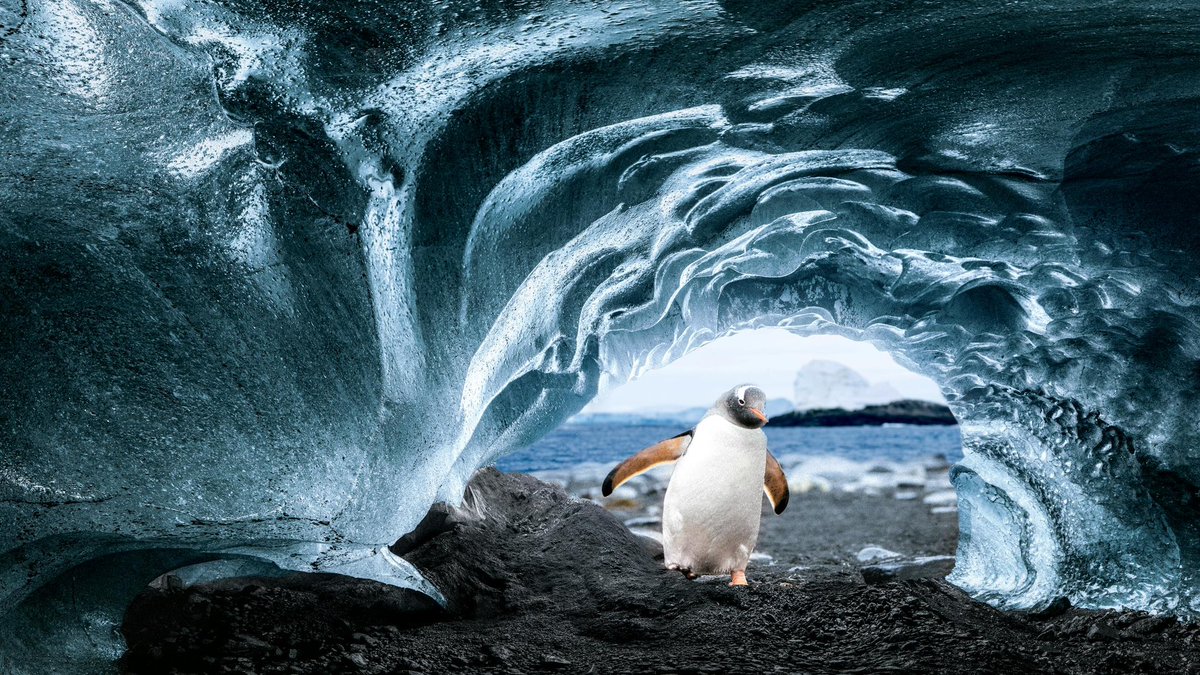 Rachel Suzanne Tien Wood tweet media