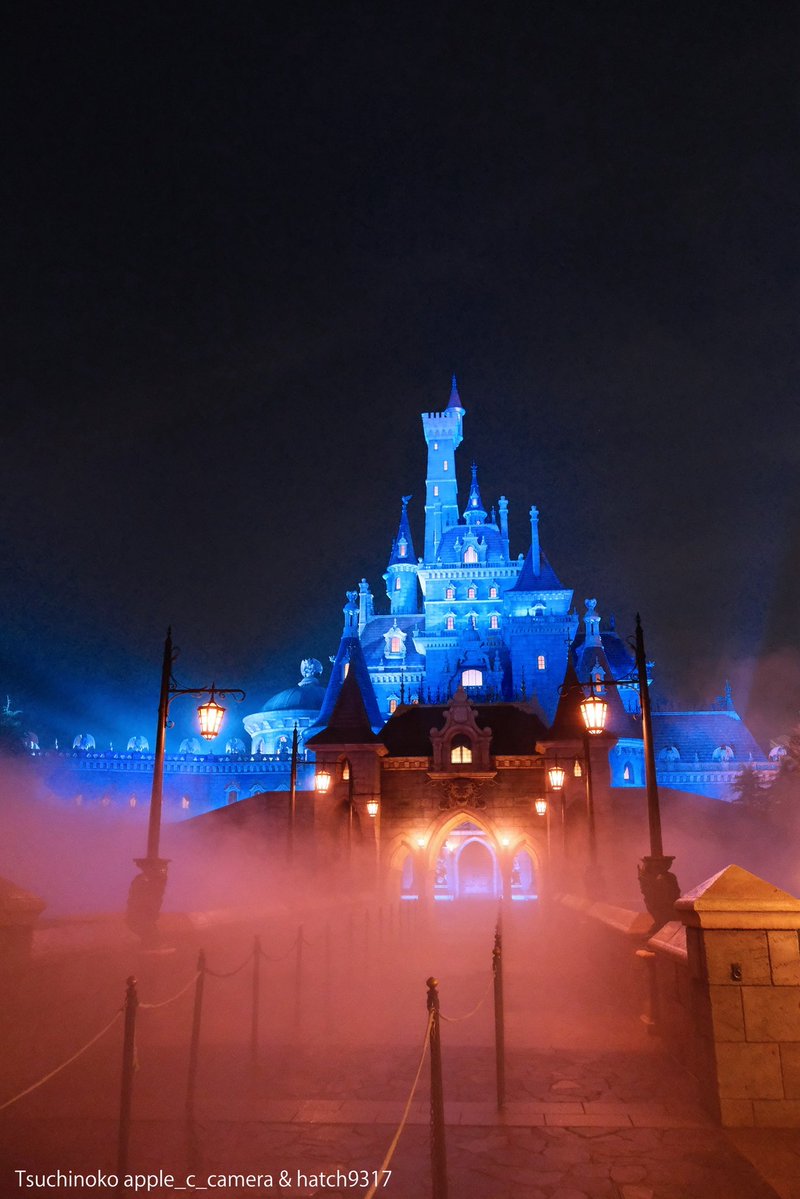 ツチノコ tweet media