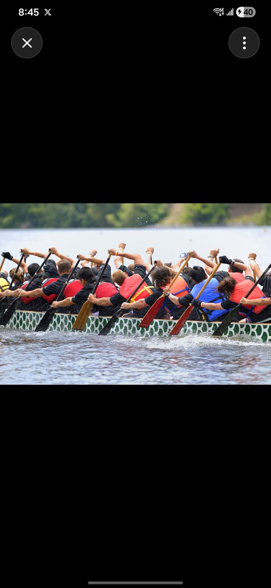 Doris Yin 东方紫莲🪷🪷🪷 tweet media