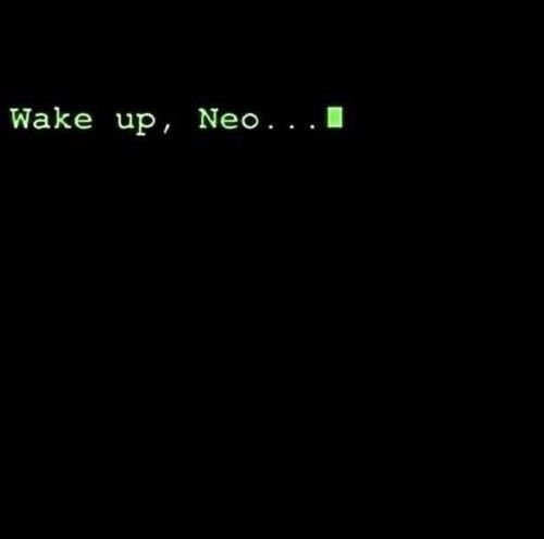 Ramin Nasibov tweet media