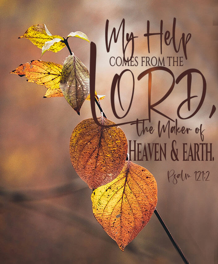 tolocarsa's tweet photo. 📖 Psalm 121:2   
My help comes from the Lord, the Maker of heaven and earth. https://t.co/MwXTpOyaUn
