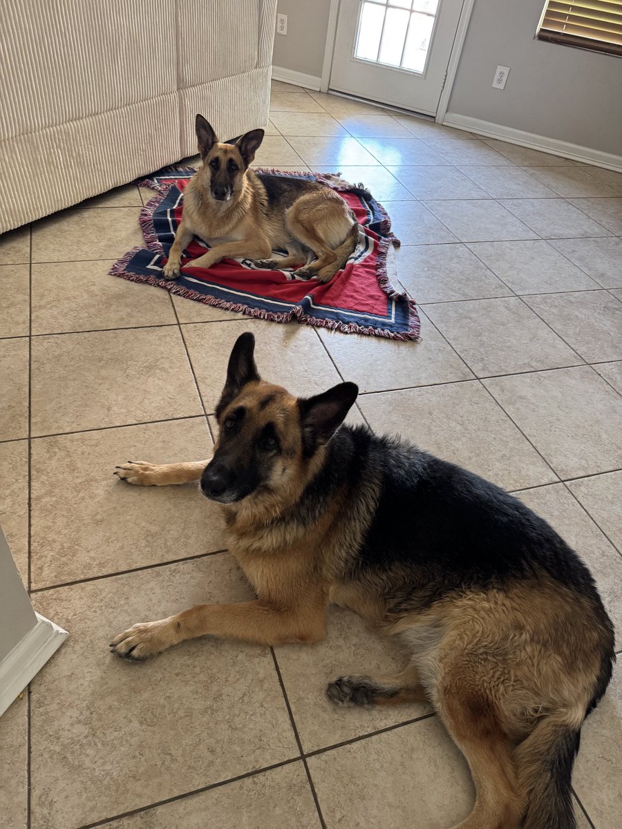 FJBFrazzledrip tweet media