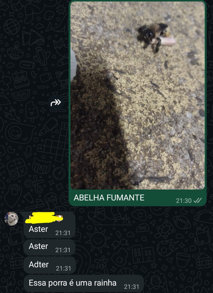 (dis) Aster 🦊✨🏳️‍⚧️🇵🇸 tweet media