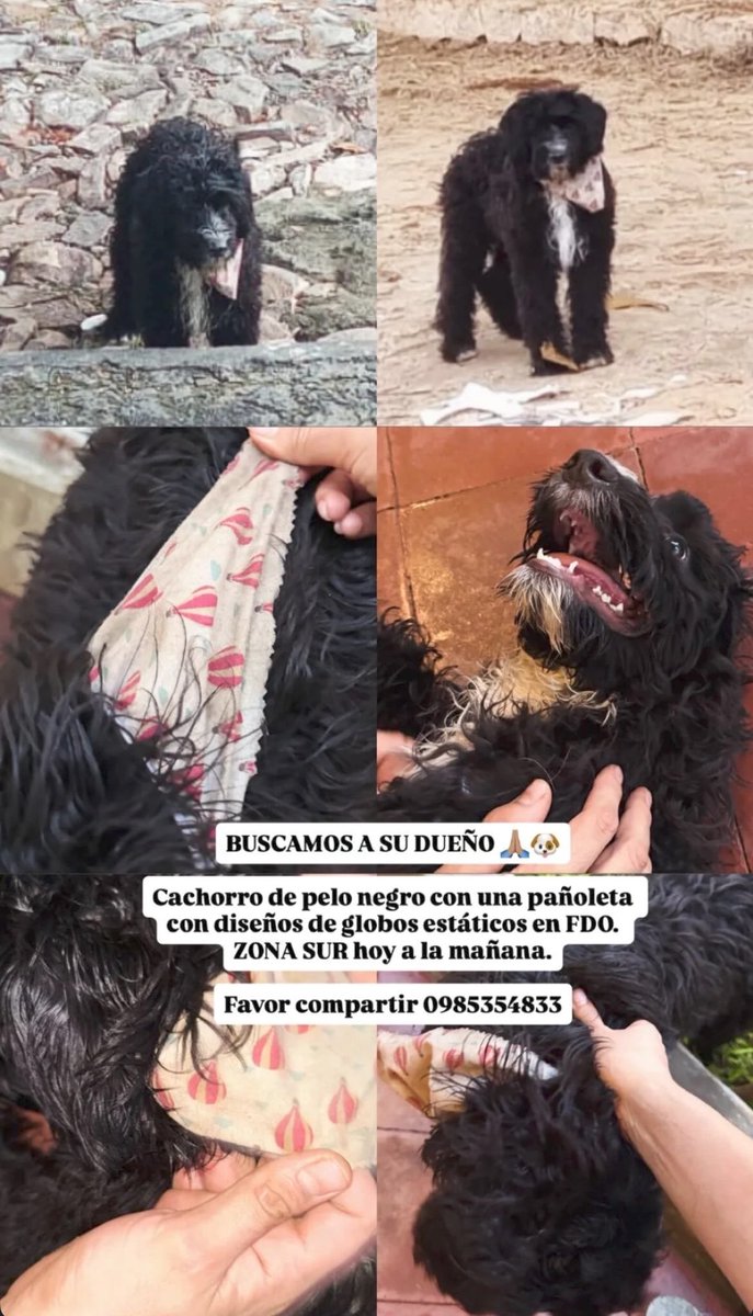 Favor difundir