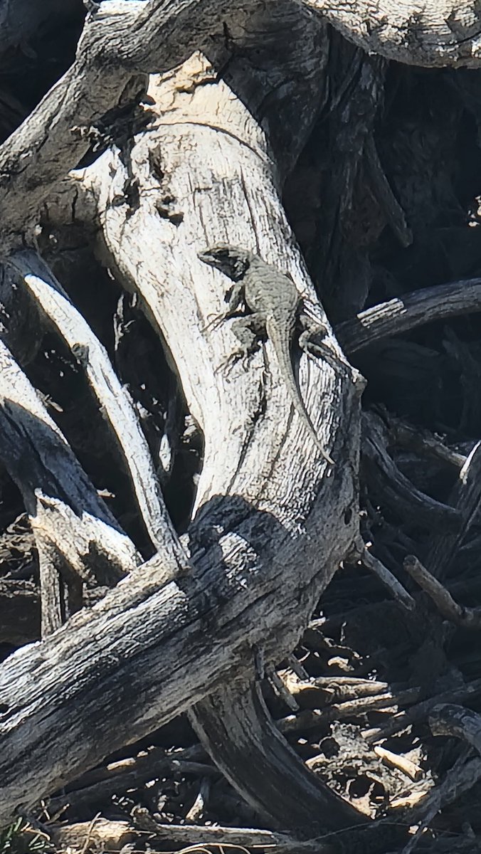 Old Grouchy Guy🇺🇲 tweet media