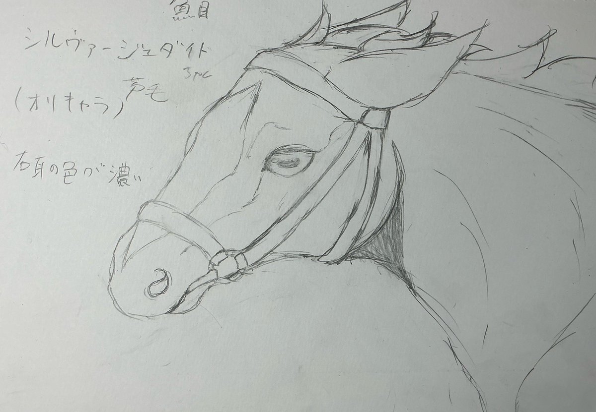 さきこあ tweet media