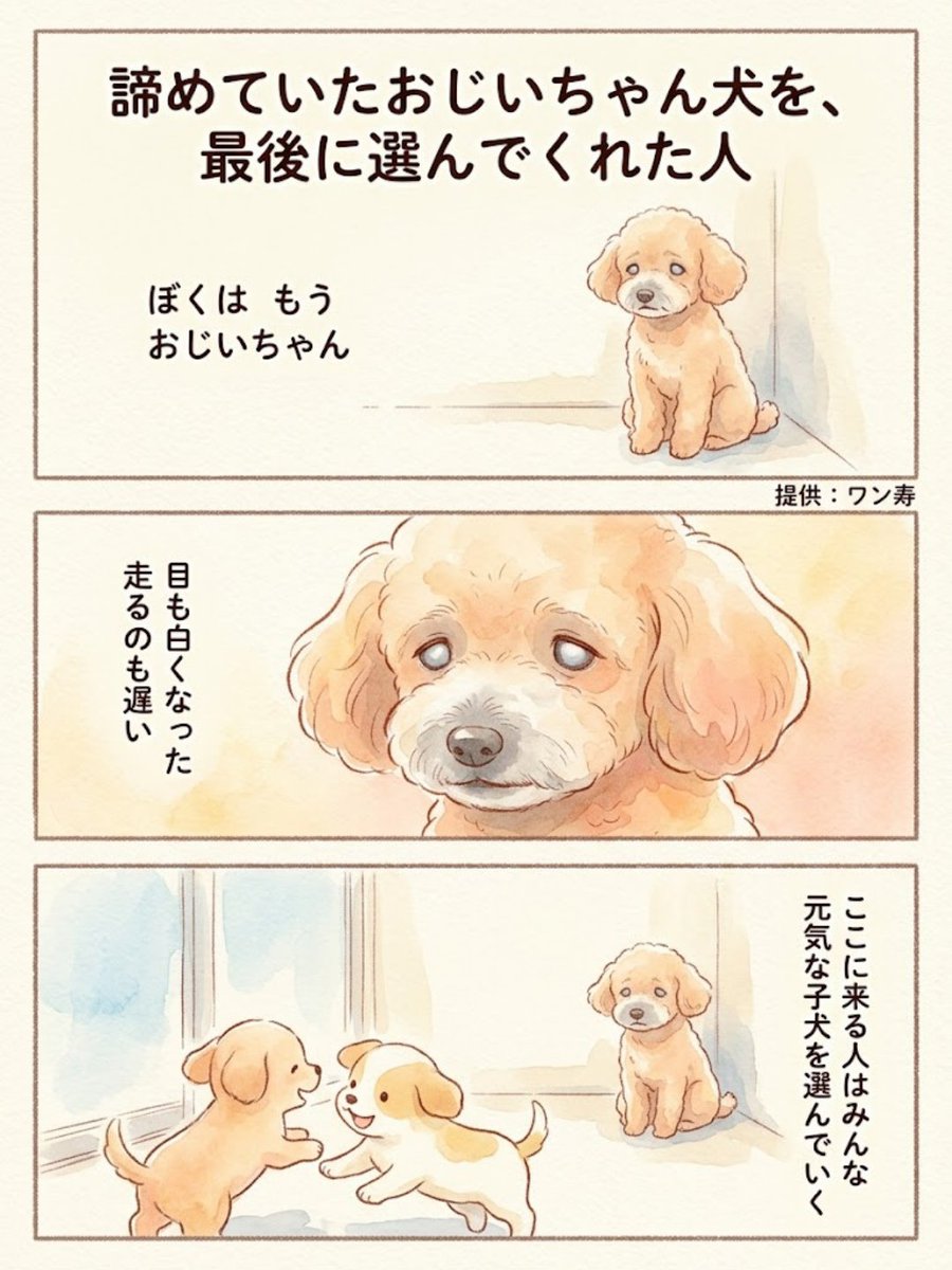 lifefire_zndmn's tweet photo. 素敵な人に出会えてよかった😭 https://t.co/XlIjbNHbDu