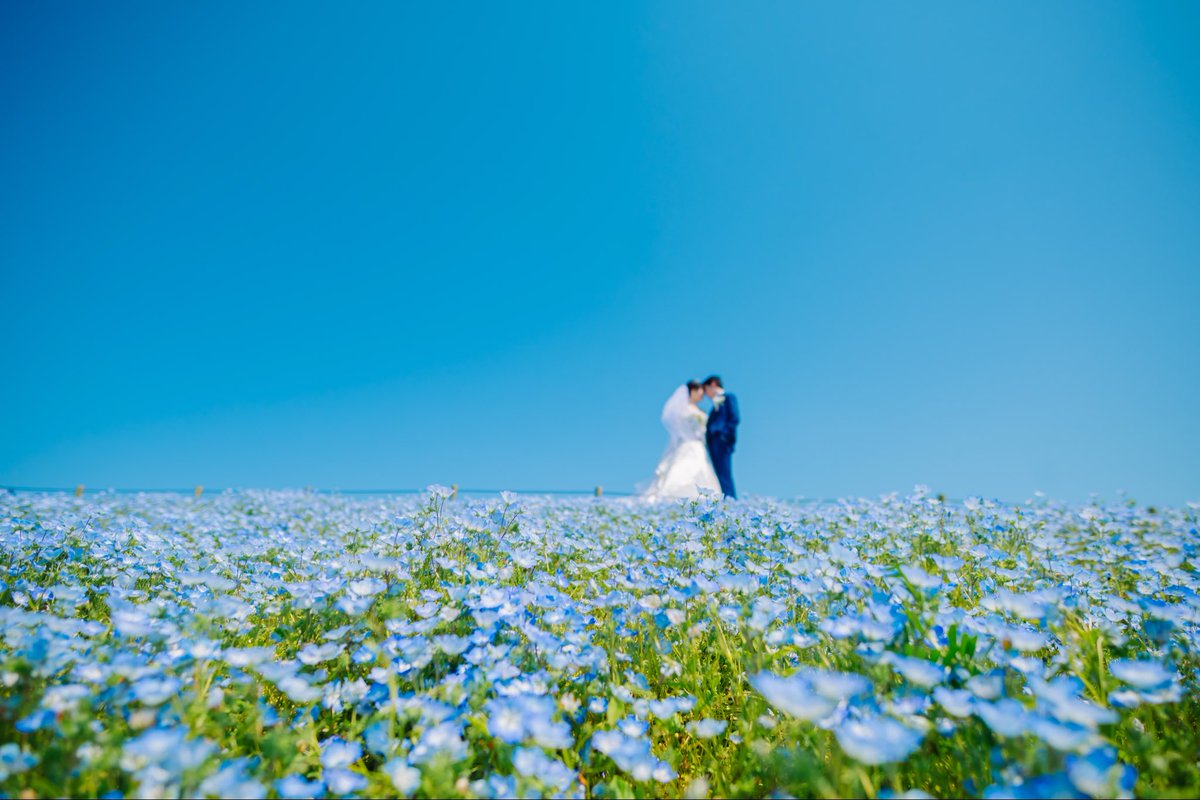 ドレスショップ「ブランシェ」ひたちなか【公式】 tweet media