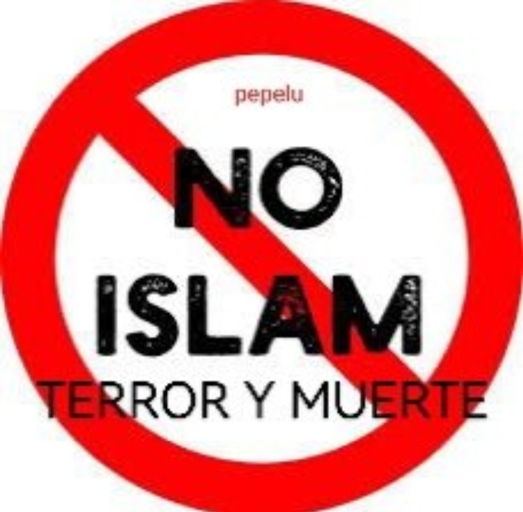 Supernova🎗️🇨🇱🕊️🇨🇴❤️🇮🇱🩵🌷🌹🍀🌹🍀 tweet media