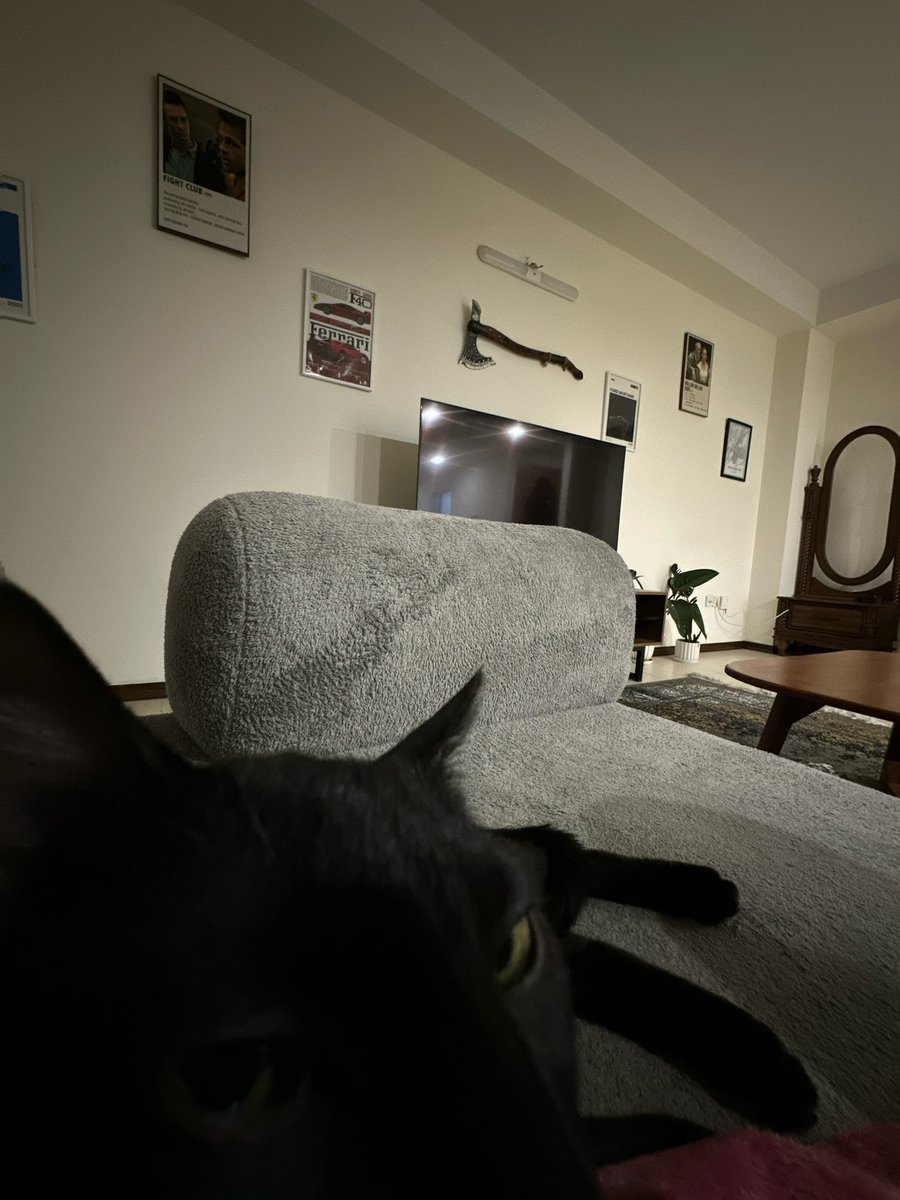 Jahan🎬 tweet media