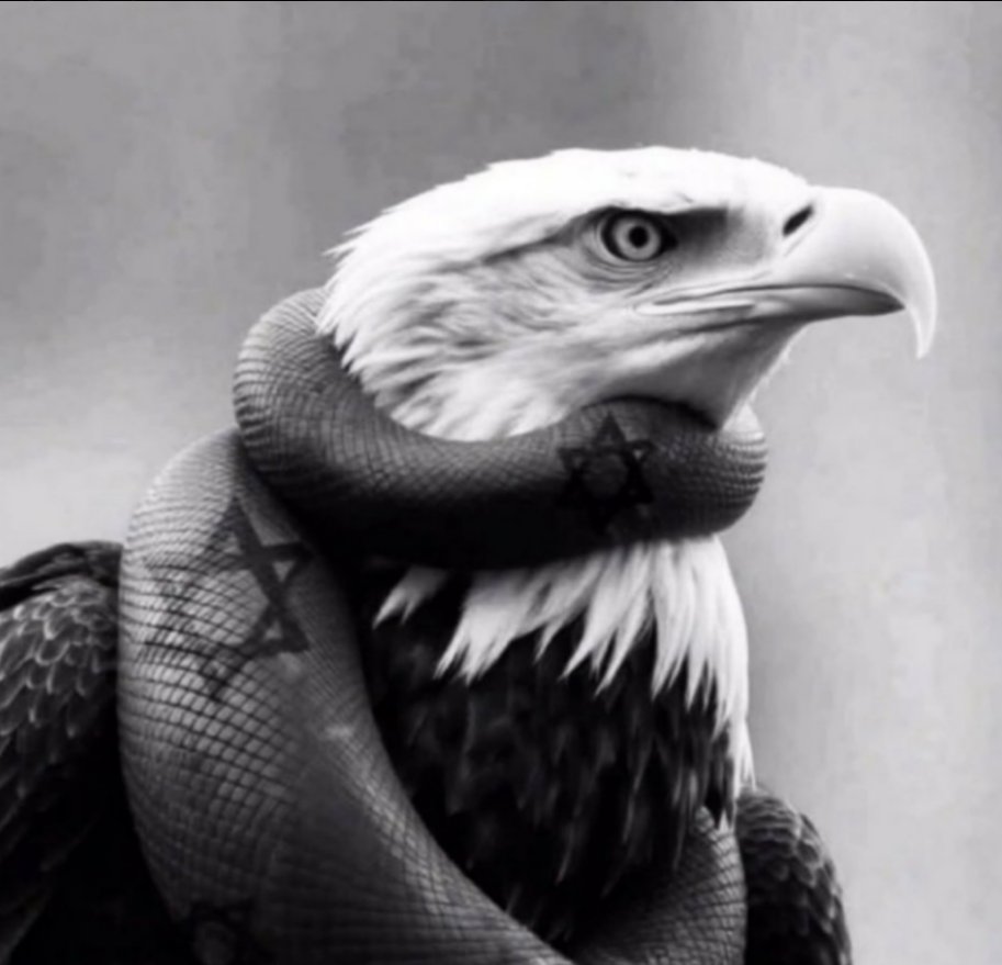 Ron Paul Was Right tweet media