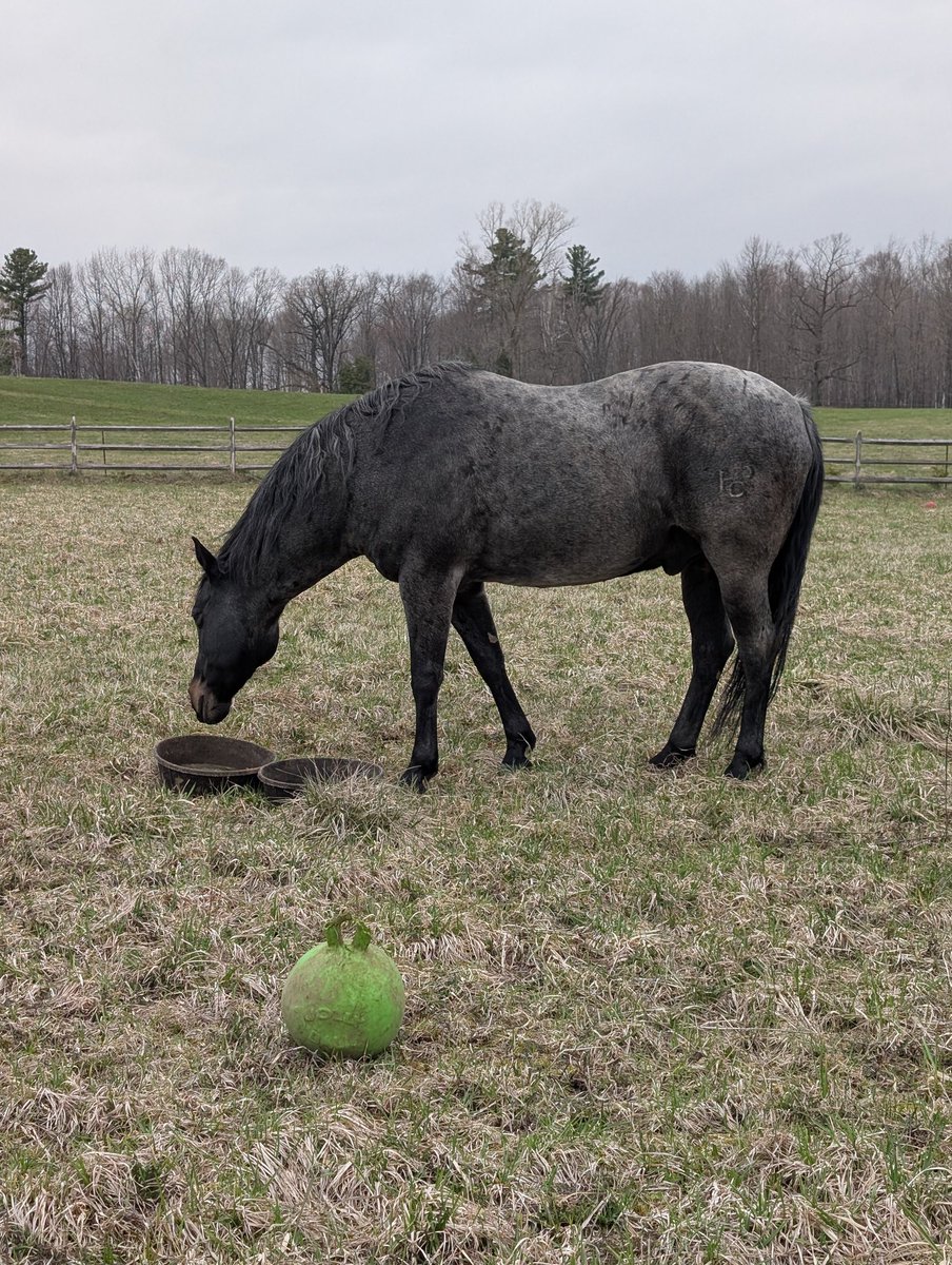 Mike Oswald tweet media