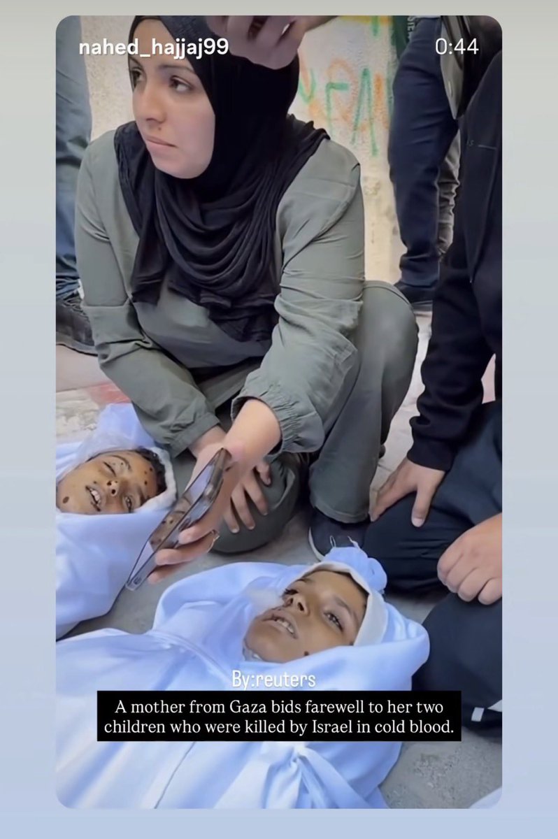 Laila Al-Arian tweet media