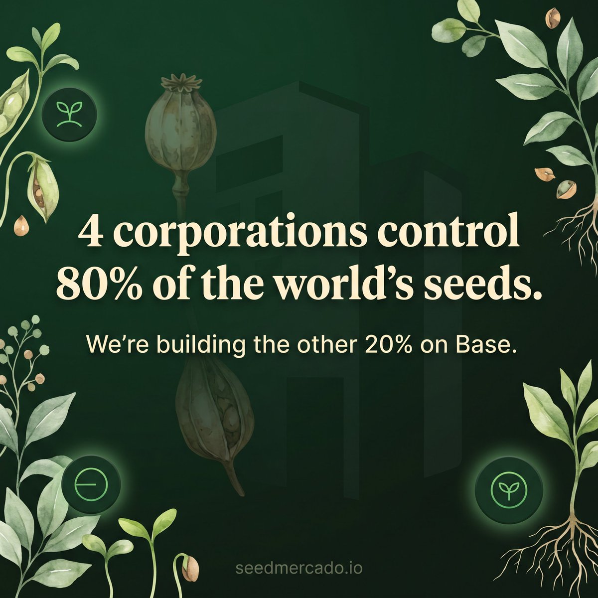 SeedMercado.io tweet media