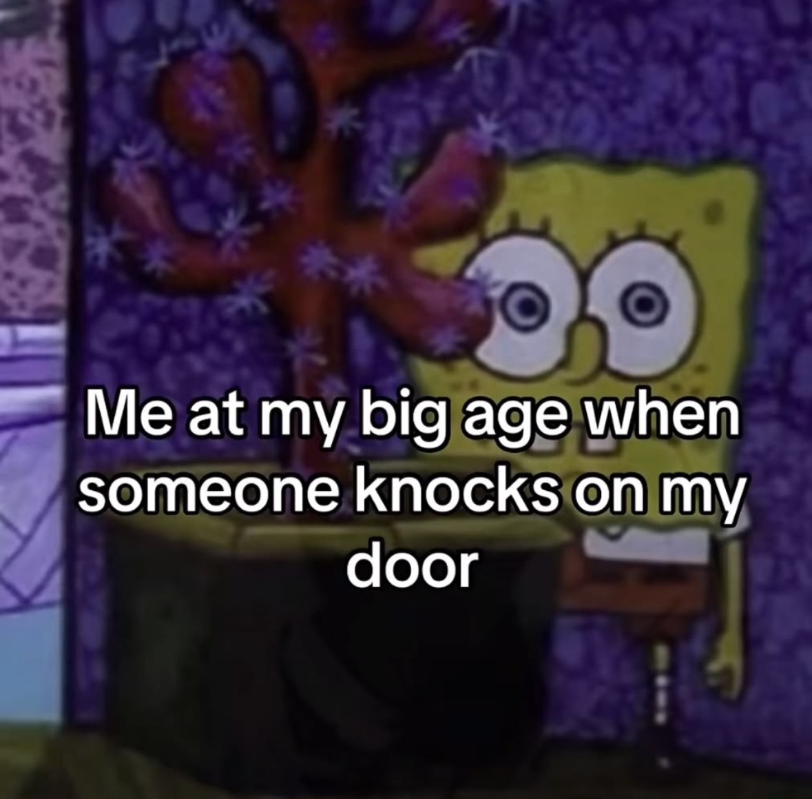 Respectful Memes (@respectfulmemes) on Twitter photo 