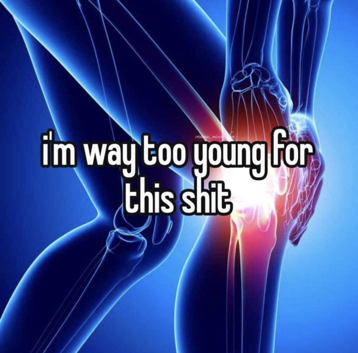 Respectful Memes (@respectfulmemes) on Twitter photo 