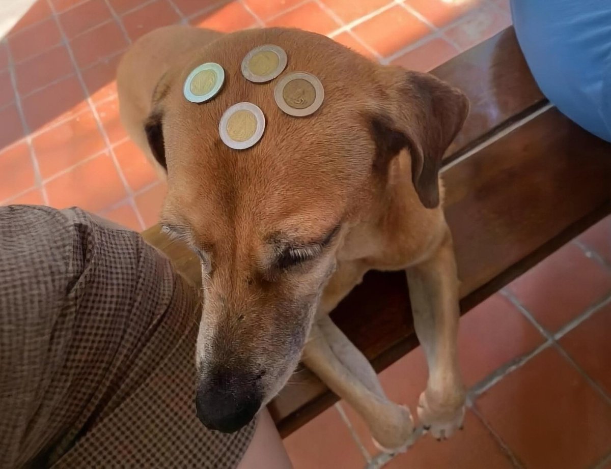 Jeffrey Valle tweet media