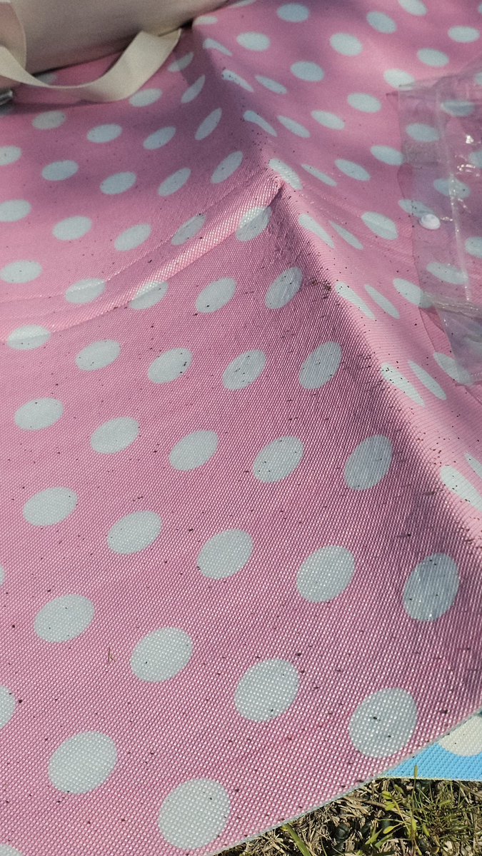 허경수 tweet media