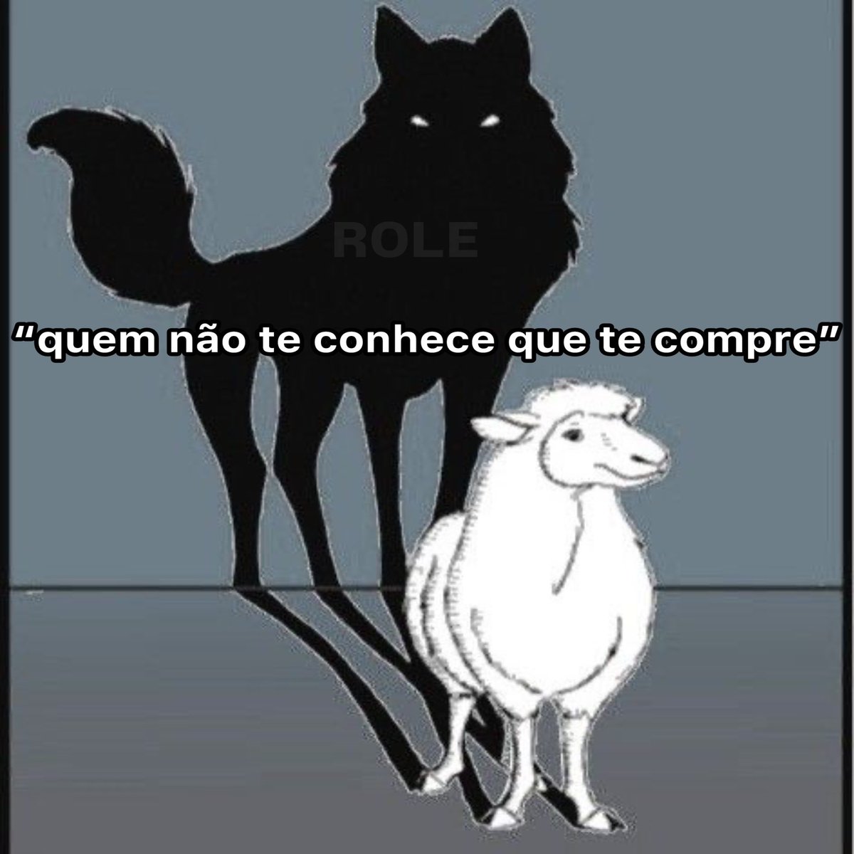 Rolê Aleatório (@rolealeatorio) on Twitter photo 