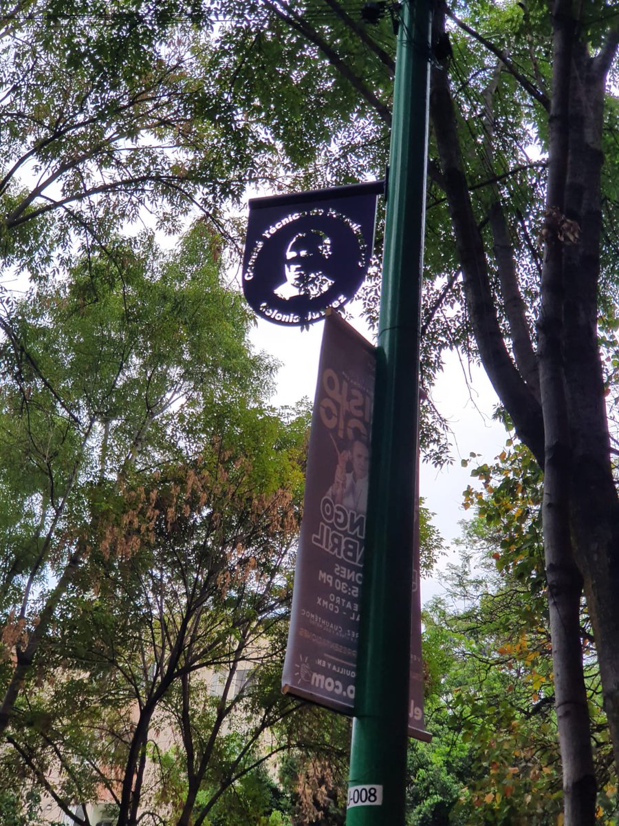 La Colonia Juárez tweet media