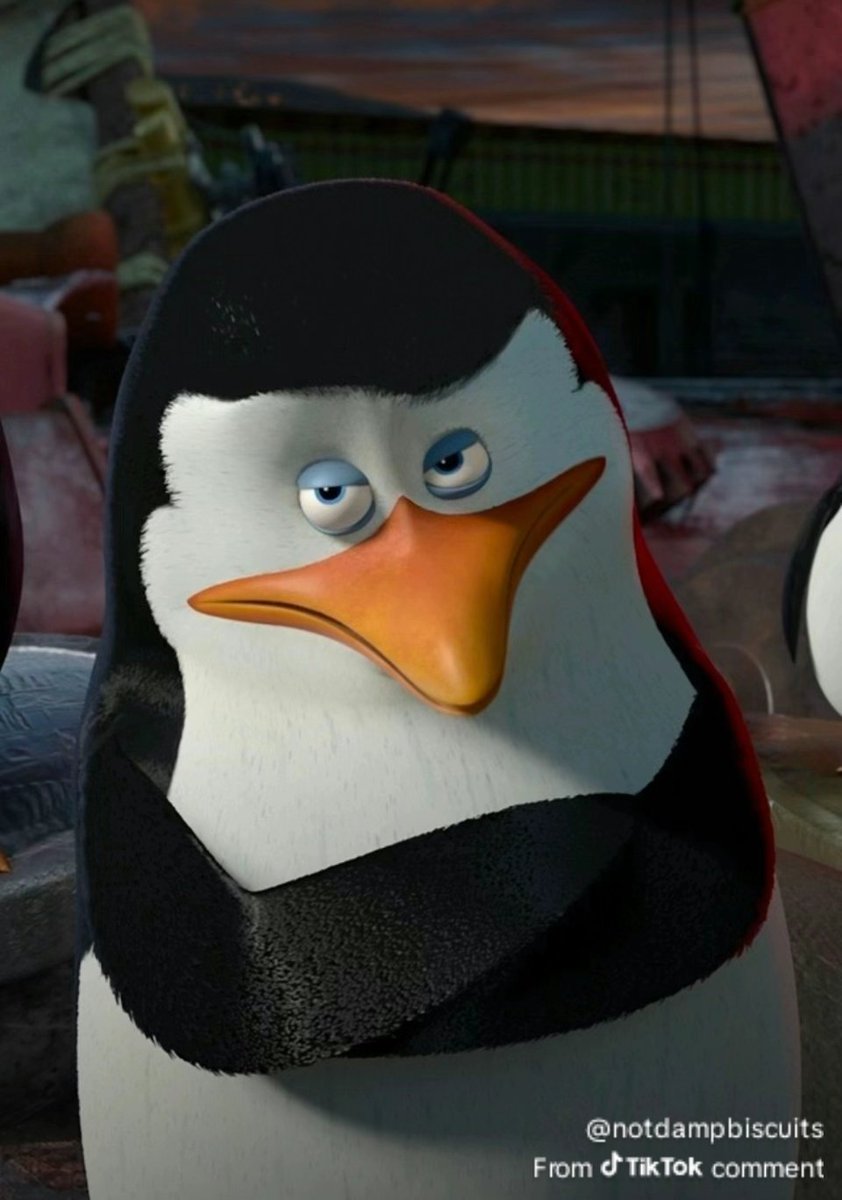 HawkRaider tweet media